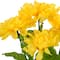Yellow Dahlia Bush by Ashland&#xAE;